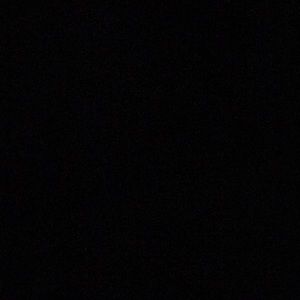 Meet your Posher, Lexy